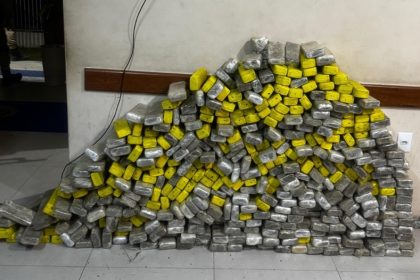 rondesp-apreende-quase-300-kg-de-maconha-escondidos-em-matagal