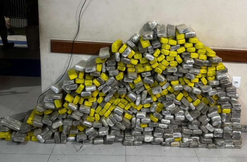 rondesp-apreende-quase-300-kg-de-maconha-escondidos-em-matagal