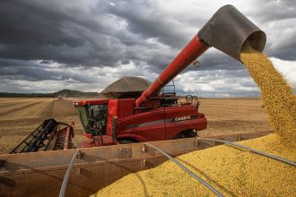 apos-primeiras-colheitas,-conab-confirma-estimativa-de-safra-recorde