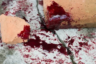 mulher-e-morta-em-ataque-do-proprio-pitbull-dentro-de-casa-em-goias