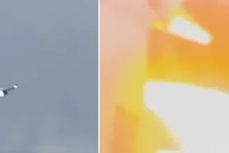 aviao-faz-pouso-de-emergencia-apos-motor-explodir-por-coelho-em-turbina