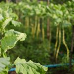 bndes-destina-r$-135-milhoes-a-acoes-sociais-e-ambientais-em-favelas