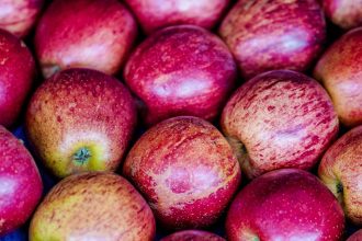 exportacao-de-frutas-cresceu-26%-no-primeiro-trimestre-de-2025