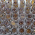 casos-de-malaria-no-brasil-caem-26%-no-primeiro-trimestre-de-2025