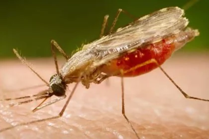 falta-de-diagnostico-e-obstaculo-para-eliminacao-da-malaria-no-brasil