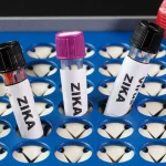 vacinas-em-estudo-contra-o-zika-virus-esbarram-em-desafios-na-fase-clinica