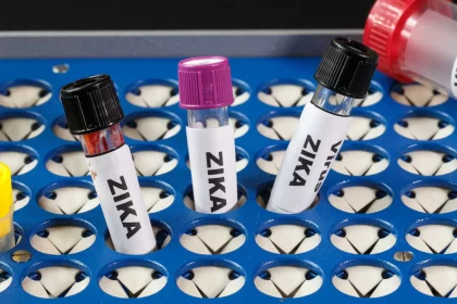 vacinas-em-estudo-contra-o-zika-virus-esbarram-em-desafios-na-fase-clinica
