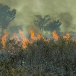 queda-do-desmatamento-na-amazonia-desacelera-em-abril,-as-vesperas-de-epoca-de-incendios