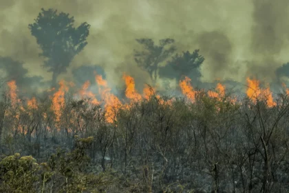 queda-do-desmatamento-na-amazonia-desacelera-em-abril,-as-vesperas-de-epoca-de-incendios