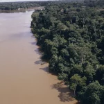 projeto-liderado-por-brasileira-mapeia-conexoes-entre-agua-no-ar,-nos-rios-e-no-solo-da-amazonia