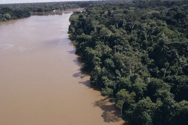 projeto-liderado-por-brasileira-mapeia-conexoes-entre-agua-no-ar,-nos-rios-e-no-solo-da-amazonia