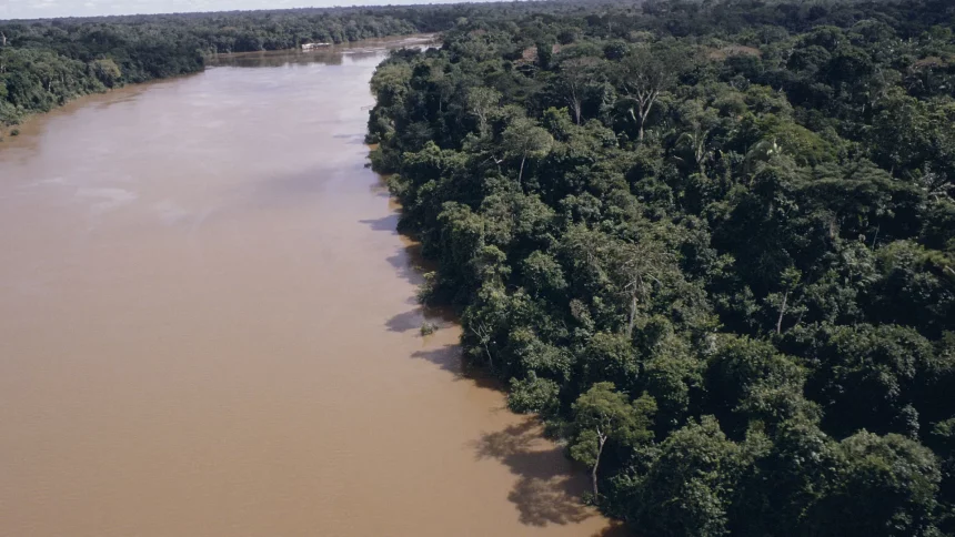 projeto-liderado-por-brasileira-mapeia-conexoes-entre-agua-no-ar,-nos-rios-e-no-solo-da-amazonia