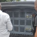 idoso-e-preso-suspeito-de-estuprar-crianca-de-4-anos-em-nova-vicosa