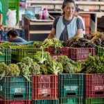 anvisa-inicia-monitoramento-de-residuos-de-agrotoxicos-em-alimentos