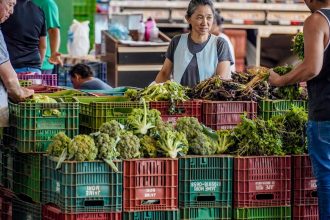 anvisa-inicia-monitoramento-de-residuos-de-agrotoxicos-em-alimentos