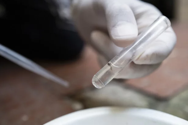 dengue-cresce-nas-zonas-norte-e-leste-da-cidade-de-sao-paulo