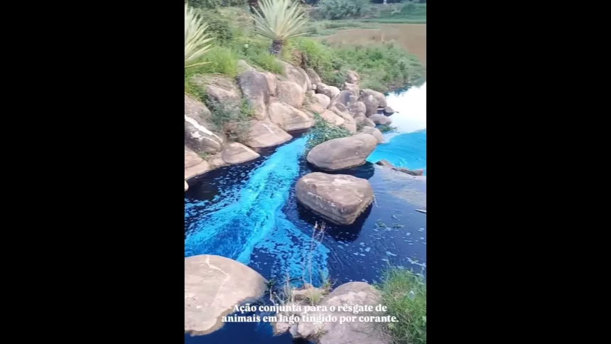 caminhao-derrama-corante-em-lago-de-sp-e-mata-animais-tingidos-de-azul