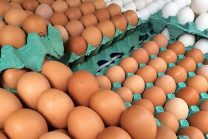 mg-descarta-preventivamente-450-toneladas-de-ovos-ferteis-vindos-do-rs