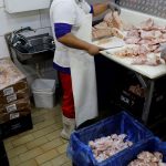 prazo-de-28-dias-para-brasil-ficar-livre-da-gripe-aviaria-comeca-hoje