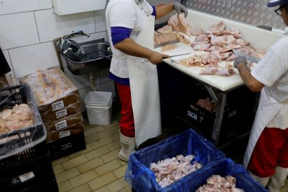 prazo-de-28-dias-para-brasil-ficar-livre-da-gripe-aviaria-comeca-hoje