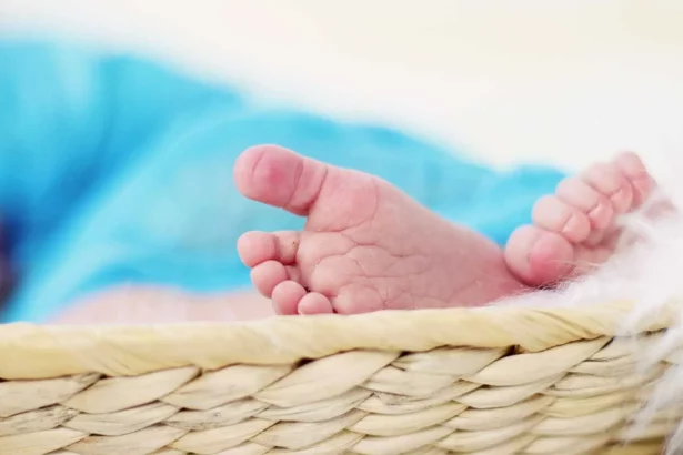 helena-desbanca-miguel-e-e-o-nome-mais-registrado-no-pais-em-2024