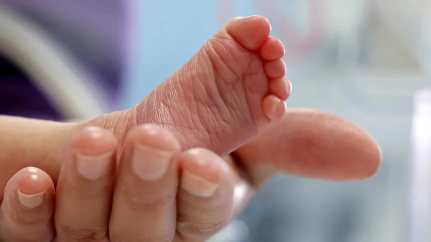 bebe-morre-engasgado-em-creche-clandestina-que-funcionava-ha-dez-anos