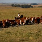 pib-cresce-1,4%-no-primeiro-trimestre-de-2025