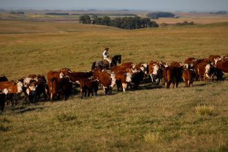 pib-cresce-1,4%-no-primeiro-trimestre-de-2025