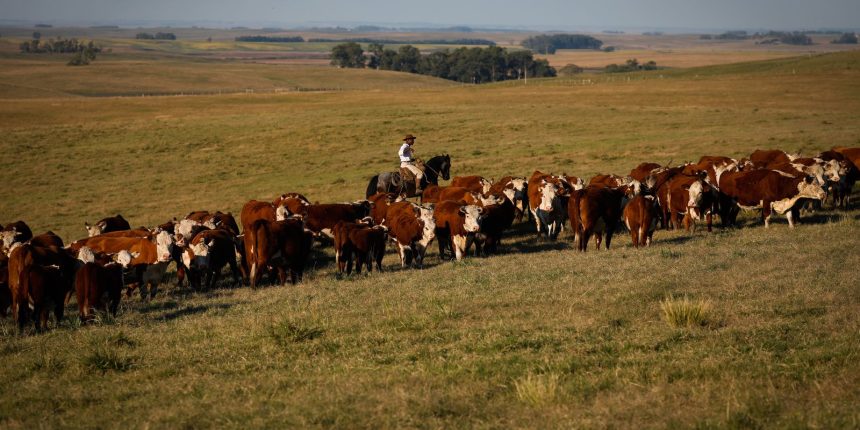 pib-cresce-1,4%-no-primeiro-trimestre-de-2025