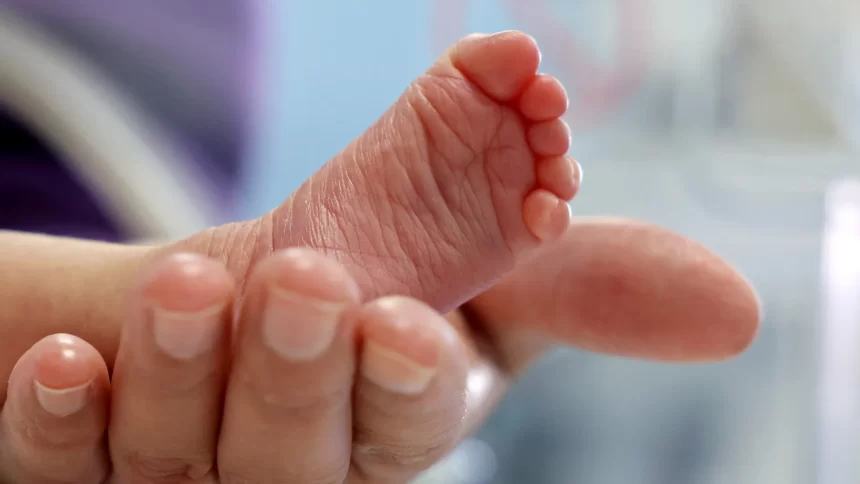 bebe-recebe-alta-apos-mae-sobreviver-a-grave-acidente-e-dar-a-luz-em-mg