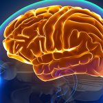 entenda-a-hidrocefalia-normobarica,-causa-da-cirurgia-de-chico-buarque