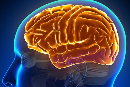 entenda-a-hidrocefalia-normobarica,-causa-da-cirurgia-de-chico-buarque