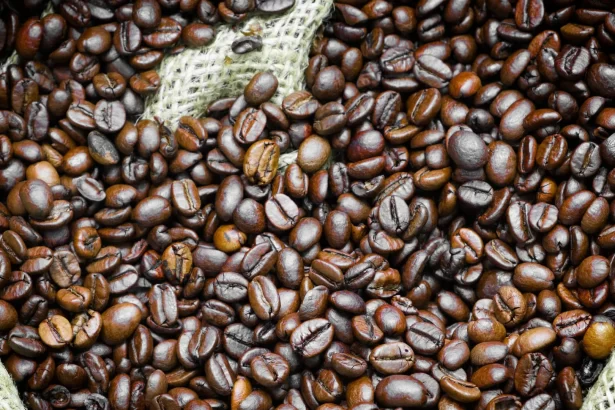 policia-apreende-quase-3-toneladas-de-cafe-improprio-para-consumo-no-rio