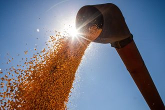 brasil-podera-ter-novo-recorde-na-producao-de-graos-na-safra-2024/2025