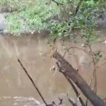 mucuri:-homem-de-53-anos-morre-afogado-e-corpo-e-resgatado-do-rio-mucurizinho