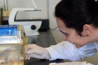 tecidos-feitos-em-laboratorio-podem-aperfeicoar-testes-de-medicamentos