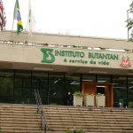 butantan-se-prepara-para-testar-vacina-contra-gripe-aviaria-em-humanos