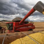 producao-de-graos-deve-crescer-14%-e-chegar-a-340-milhoes-de-toneladas