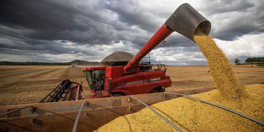 producao-de-graos-deve-crescer-14%-e-chegar-a-340-milhoes-de-toneladas