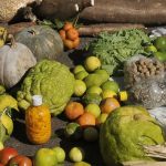 emprestimo-do-bndes-para-o-plano-safra-sera-recorde-de-r$-70-bilhoes