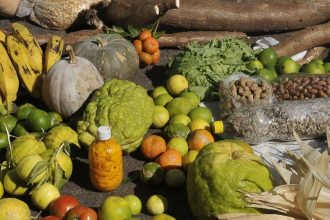 emprestimo-do-bndes-para-o-plano-safra-sera-recorde-de-r$-70-bilhoes