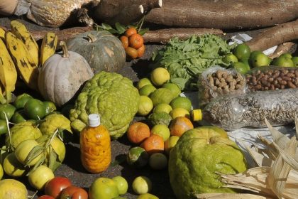 emprestimo-do-bndes-para-o-plano-safra-sera-recorde-de-r$-70-bilhoes