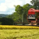 lca,-lci,-cri-e-cra:-entenda-o-que-sao-e-para-que-servem