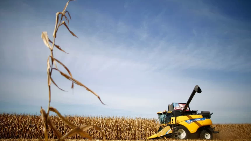 governo-lanca-plano-safra-para-agricultura-familiar-com-repasse-de-r$-89-bi