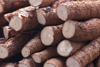 ovo-e-mandioca-pressionam-inflacao-de-festas-juninas-em-2025