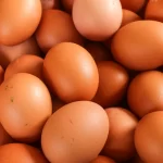 exportacoes-de-ovos-para-os-estados-unidos-crescem-996%-em-2025