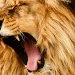 governo-arrecada-mais-de-r$-170-bilhoes-em-dois-anos-com-novas-receitas-e-mudancas-legislativas