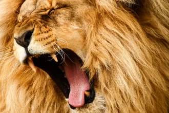 governo-arrecada-mais-de-r$-170-bilhoes-em-dois-anos-com-novas-receitas-e-mudancas-legislativas