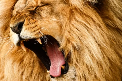 governo-arrecada-mais-de-r$-170-bilhoes-em-dois-anos-com-novas-receitas-e-mudancas-legislativas