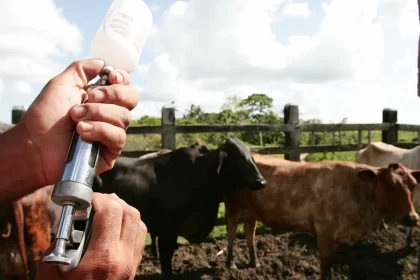 governo-vai-pedir-a-china-que-reconheca-brasil-como-pais-livre-de-febre-aftosa